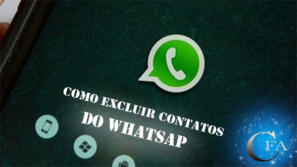 Excluir contato do WhatsApp: o que fazer se não funcionar?